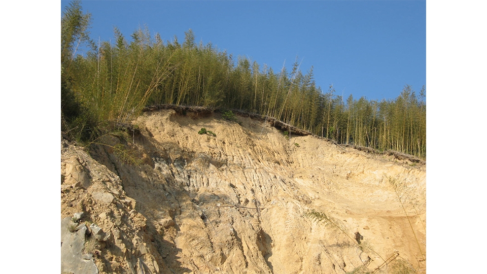 實施多項生態維護行動，像是種植6,350棵台灣一級樹木，迄今10年光景，儼然已變成小森林。